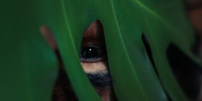 Hide eye